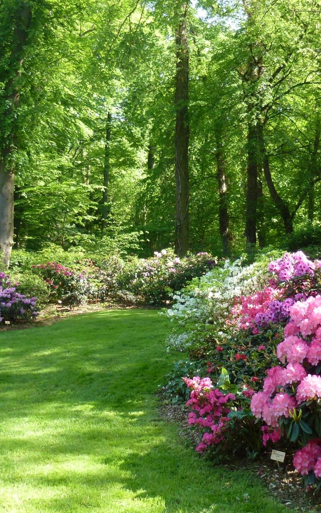 P1010397©b.wirth Otc Mulhouse Et Sa Region