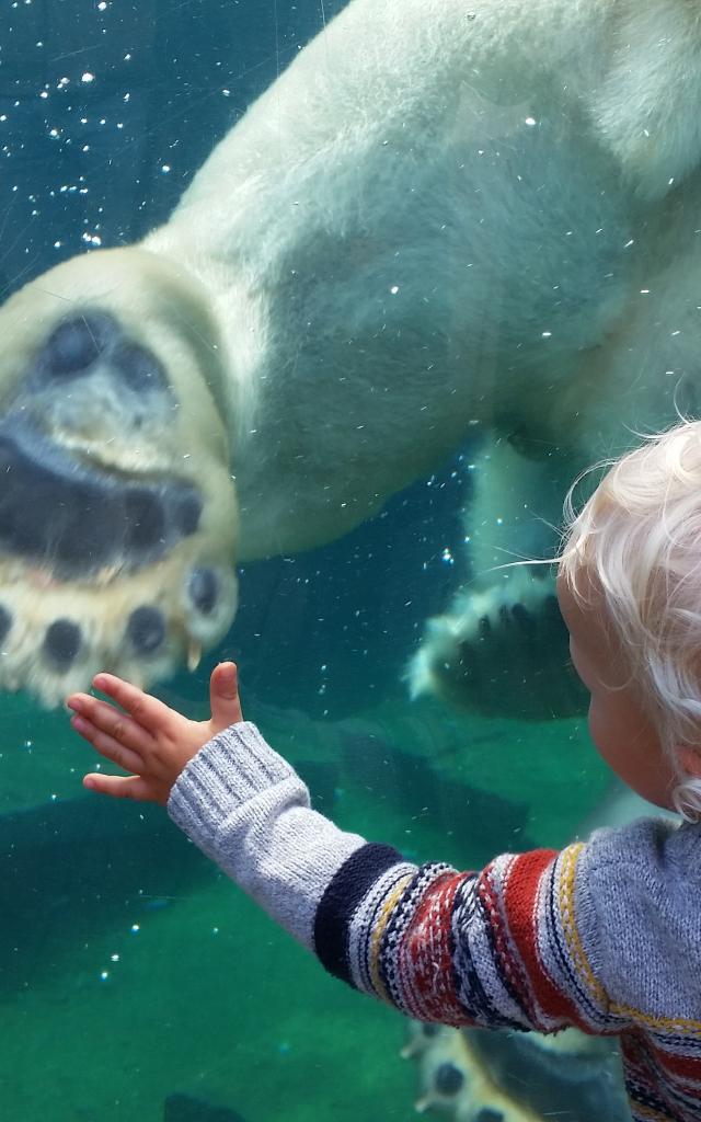 Parc zoologique et botanique | Mulhouse Alsace