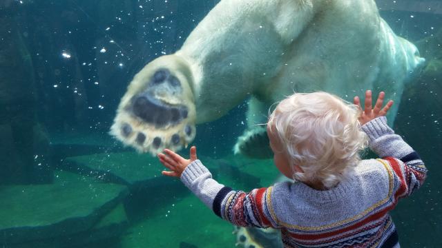 Zoological and botanical park | Mulhouse Alsace - 1