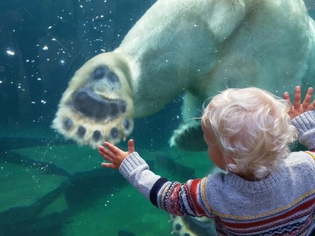 Zoological and botanical park | Mulhouse Alsace - 1