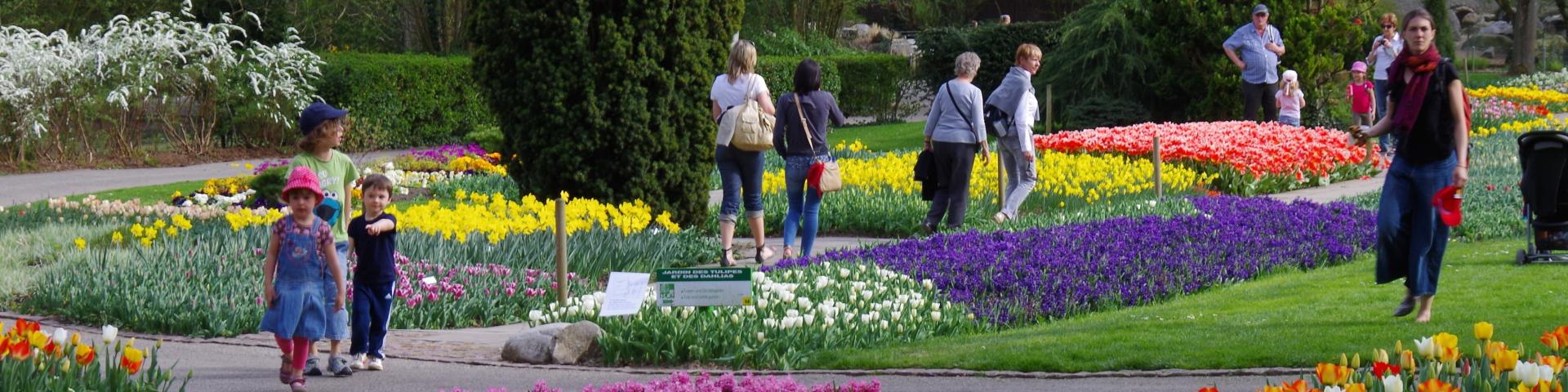Zoological and botanical park | Mulhouse Alsace - 6