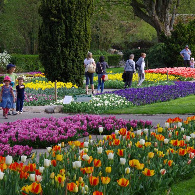 Parc zoologique et botanique | Mulhouse Alsace