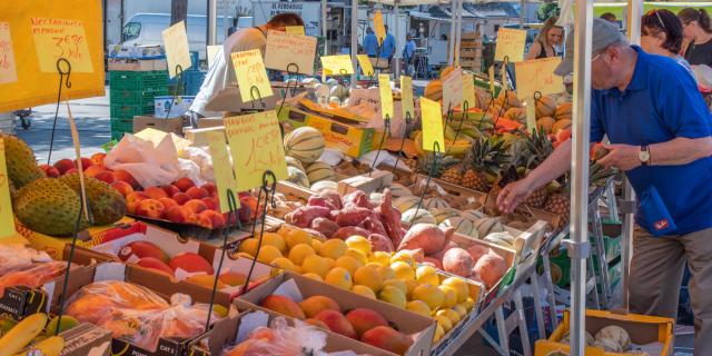 Marché du Canal Couvert | Mulhouse Alsace