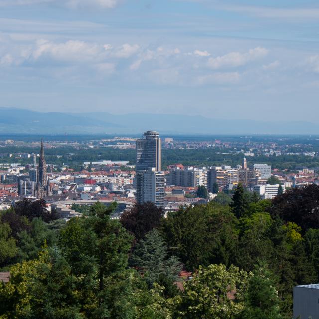 Vue de Mulhouse depuis le belvédère