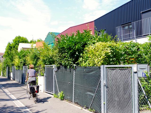 Cité manifeste - Mulhouse Alsace