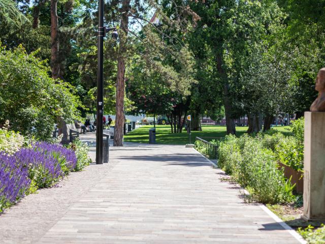 Steinbach Park - Mulhouse Alsace