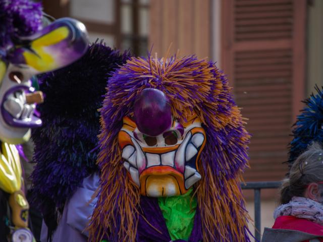 Carnival of Mulhouse Alsace