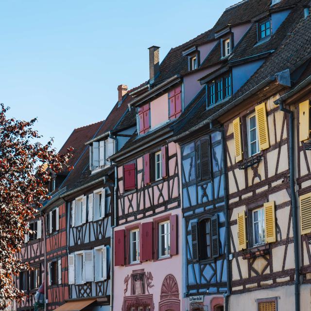Colmar