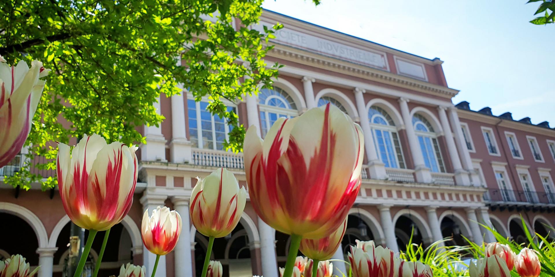 Société industrielle de Mulhouse - Square de la Bourse