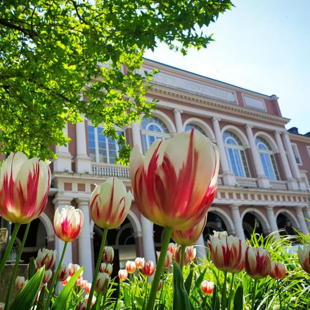 Société industrielle de Mulhouse - Square de la Bourse