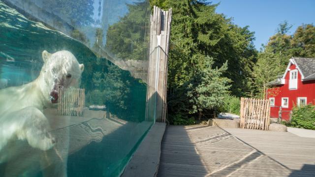 Parc zoologique et botanique | Mulhouse Alsace