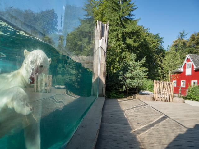 Zoological and botanical park | Mulhouse Alsace