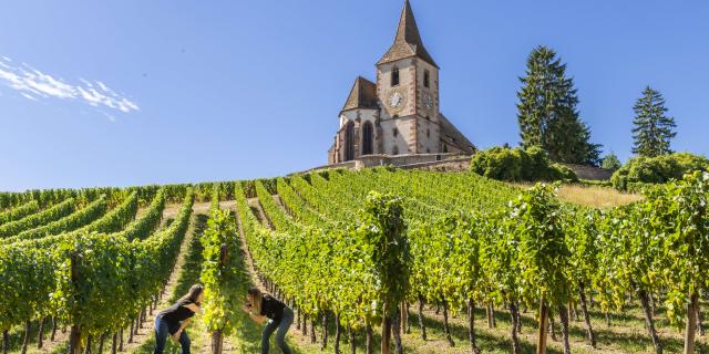 Route des vins - Hunawihr