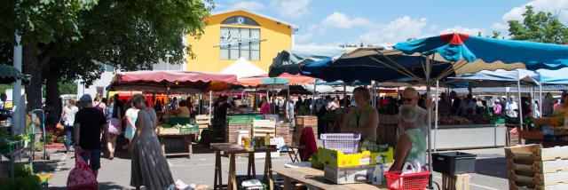 Marché du Canal Couvert | Mulhouse Alsace
