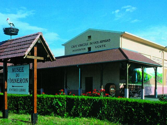 Cave du Vieil Armand - Wuenheim Alsace