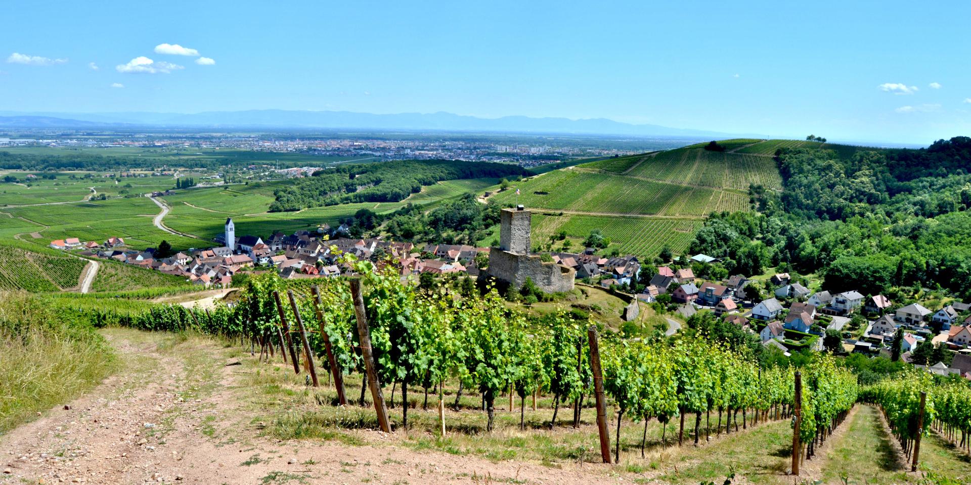 Route des vins - Katzenthal