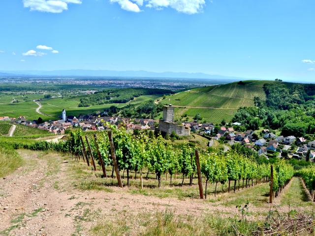 Route des vins - Katzenthal