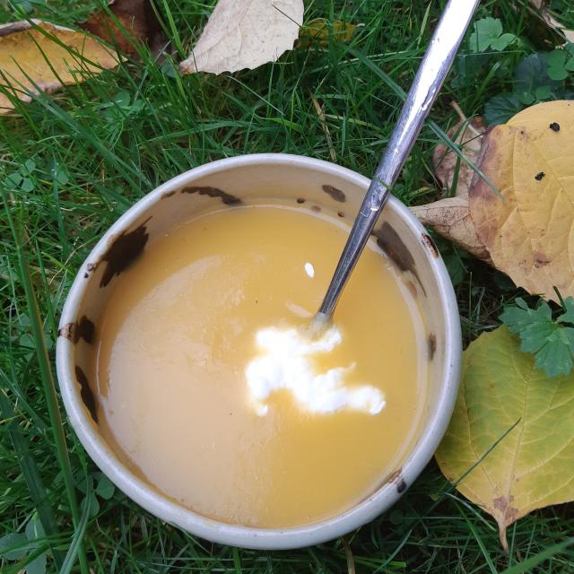 Rezept - Butternut-Suppe