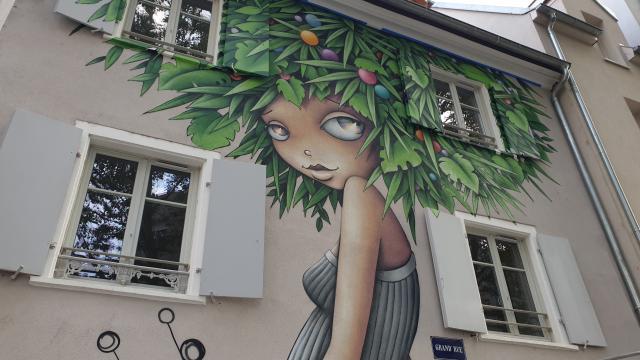 Fresco by Vinie Graffiti - Mulhouse