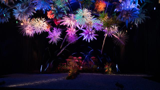 Folie'Flore - Mulhouse Alsace - Edition 2021