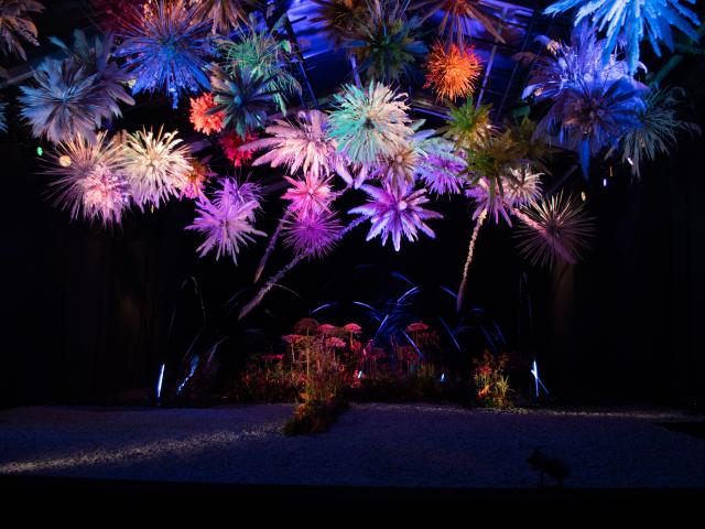 Folie'Flore - Mulhouse Alsace - Edition 2021