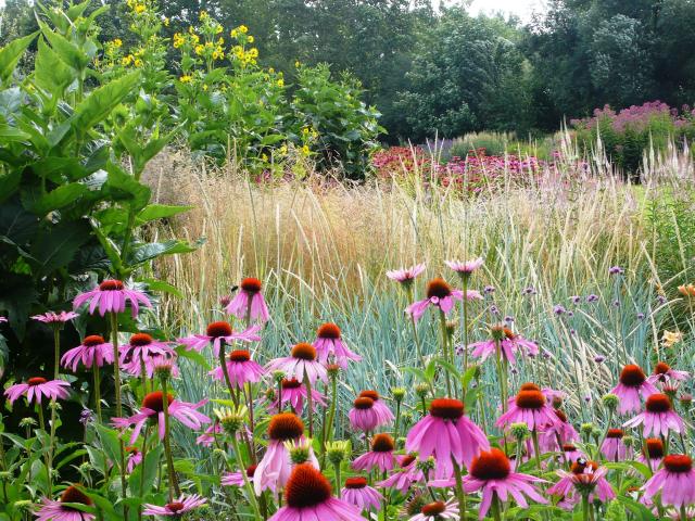 Les Jardins du Temps - Illzach