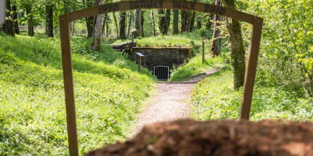 Grand Canon - Zillisheim