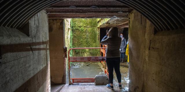 Grand Canon - Zillisheim