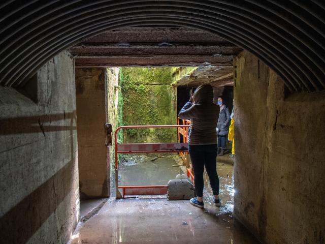 Grand Canon - Zillisheim