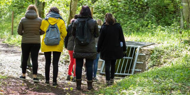 Grand Canon - Zillisheim