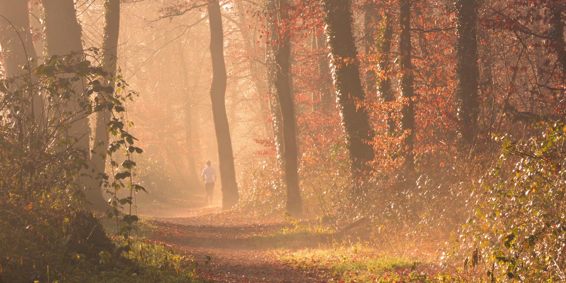 Running in and around Mulhouse Alsace