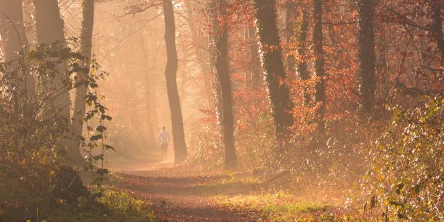 Joggen in und um Mulhouse Elsass