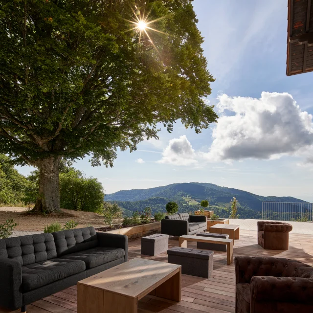 Goldenmatt3156 R Original